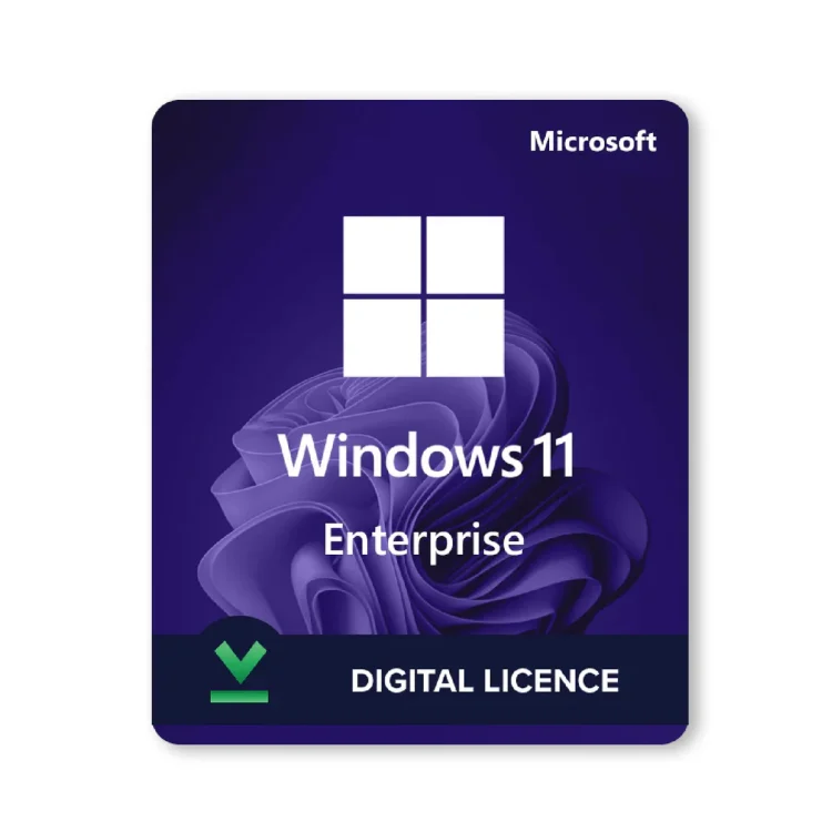 WINDOWS 10/11 ENTERPRICE KEY OEM